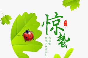 解讀三號(hào)節(jié)氣之——驚蟄