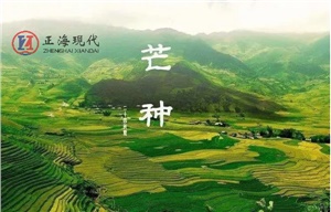 【節(jié)氣】今日芒種 ，一個(gè)生猛的節(jié)氣到了！保重身體別生??！