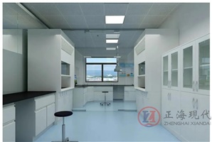 【正海新知】無(wú)菌實(shí)驗(yàn)室設(shè)計(jì)方案